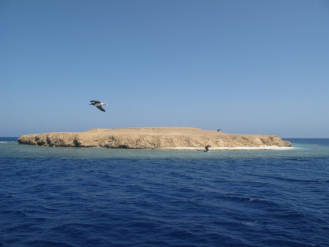 Rocky Islet
