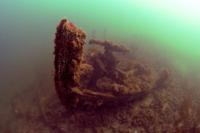 PADI vraget i springlag
