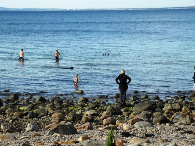Hornb�k strand
