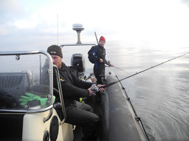 Fisk på loddet