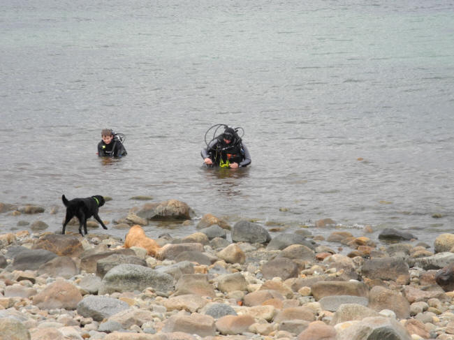 De onde sten ved stranden