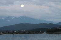 img_0242_small.jpg