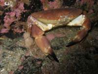 p8010048_small.jpg
