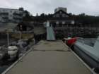 wp_000780_small.jpg