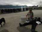 wp_000781_small.jpg