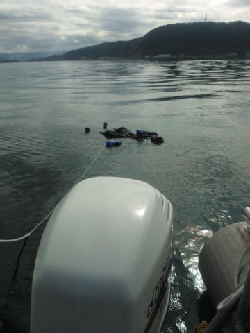 wp_000846.jpg