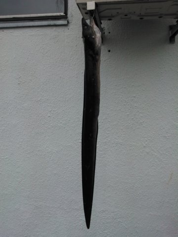 wp_000907.jpg