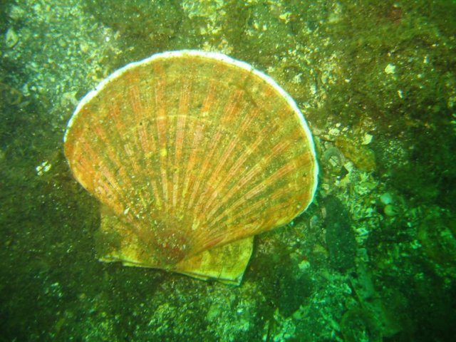 sb018.jpg