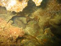 sb023_small.jpg