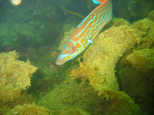 sb032.jpg