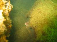 sb033_small.jpg