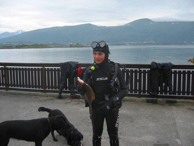 sb036.jpg